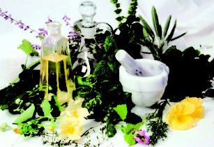 agrandissement du pénis avec des herbes